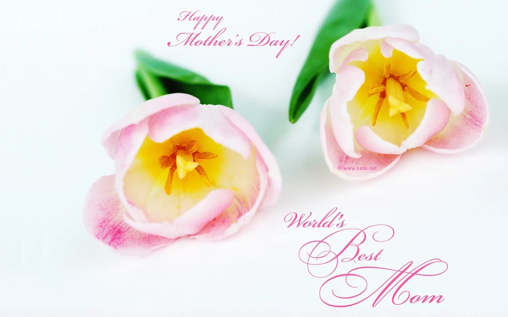 Mother Day Wallpapers Download To Say Happy Mothers Day