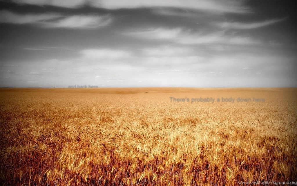 These Are So Inspirational Album On Imgur
