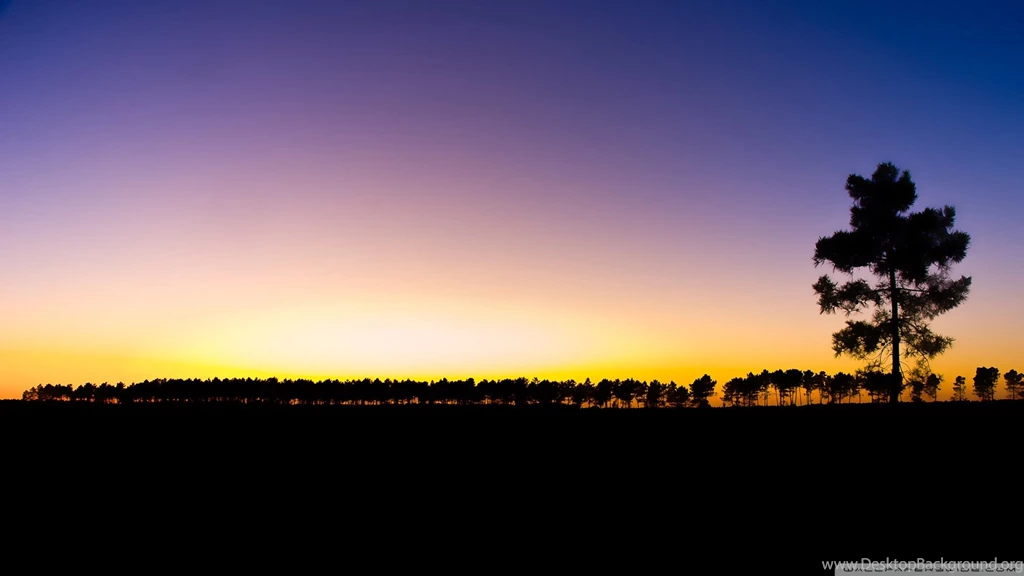 Download The Last Ray Of Light Sundown Wallpapers 1920x1080 ...