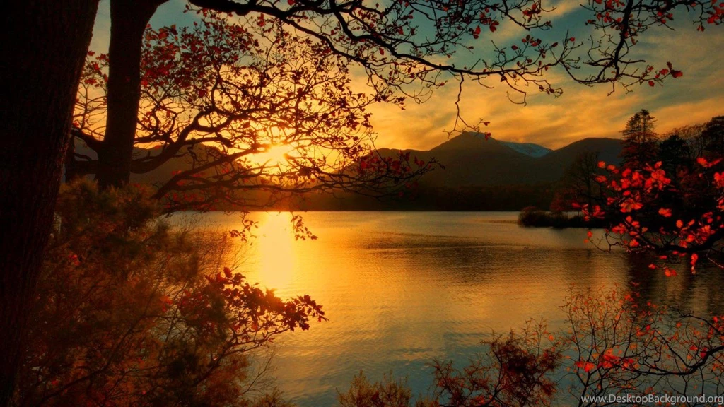 Autumn Sunset   (