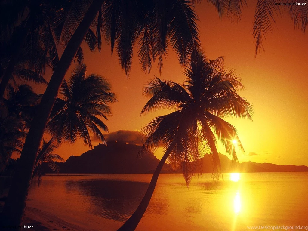 Sundown HD Wallpapers