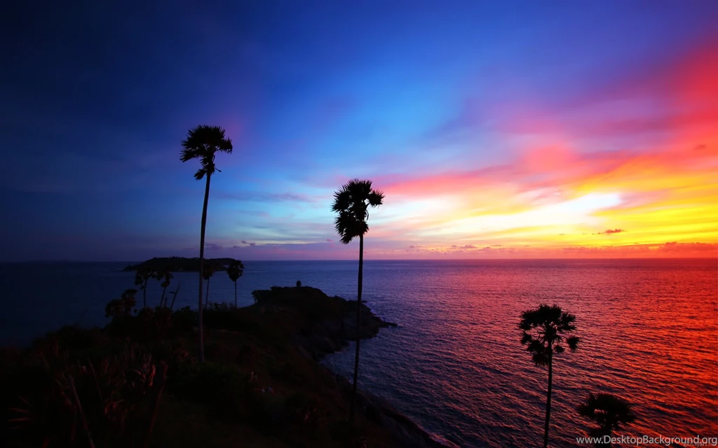 Sunset On The Beach Wallpapers And Images Wallpapers, Pictures ...