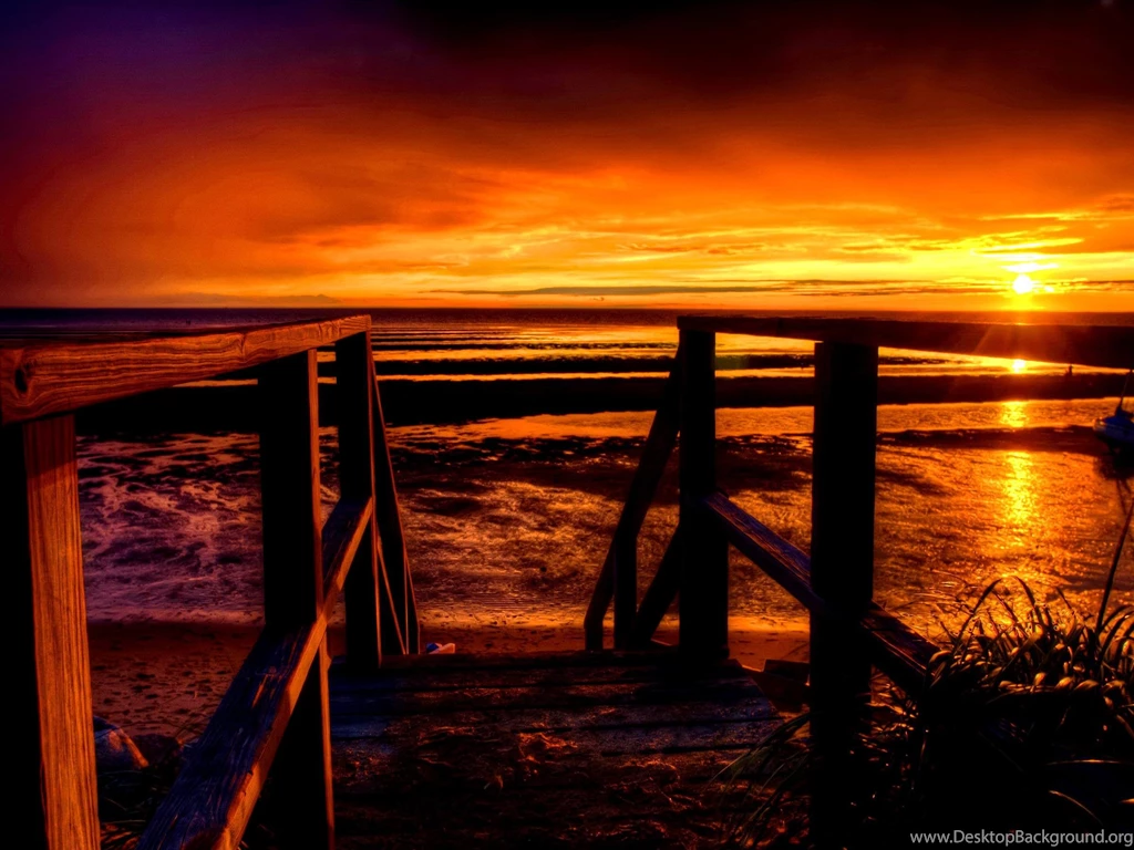 Echinacea Sundown HD Desktop Wallpapers : Widescreen : High ...