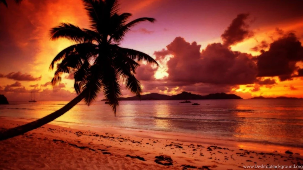 Sundown In Paradise >> HD Wallpaper, Get It Now!