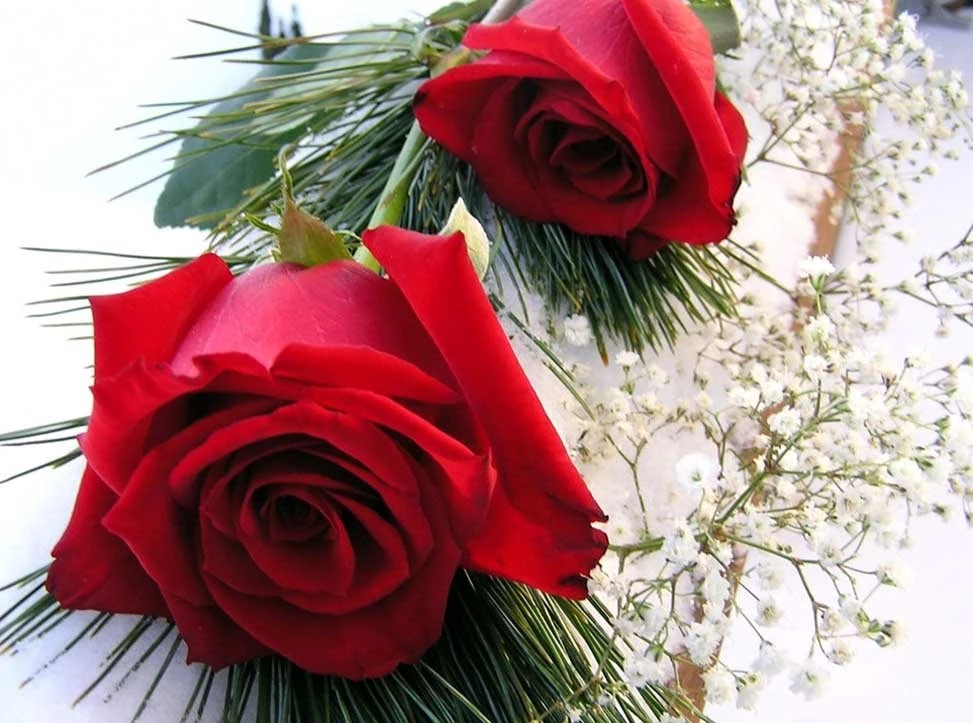 Free_Flower_Wallpaper_Download_For_Mobile 10.jpg