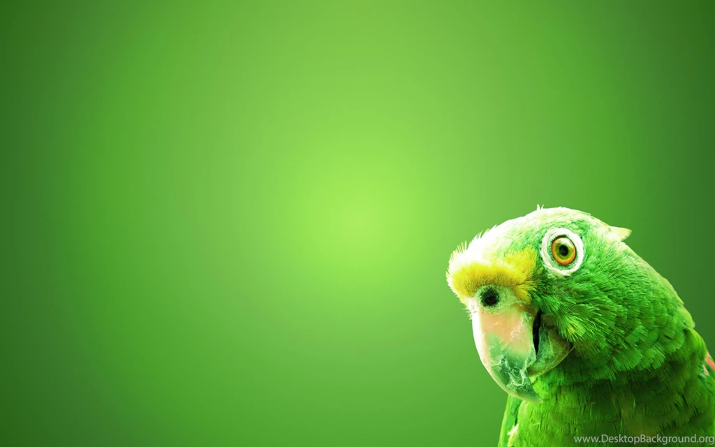 Green Plant Minimal HD Wallpapers