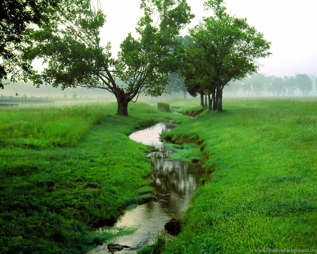 Go Green Wallpapers