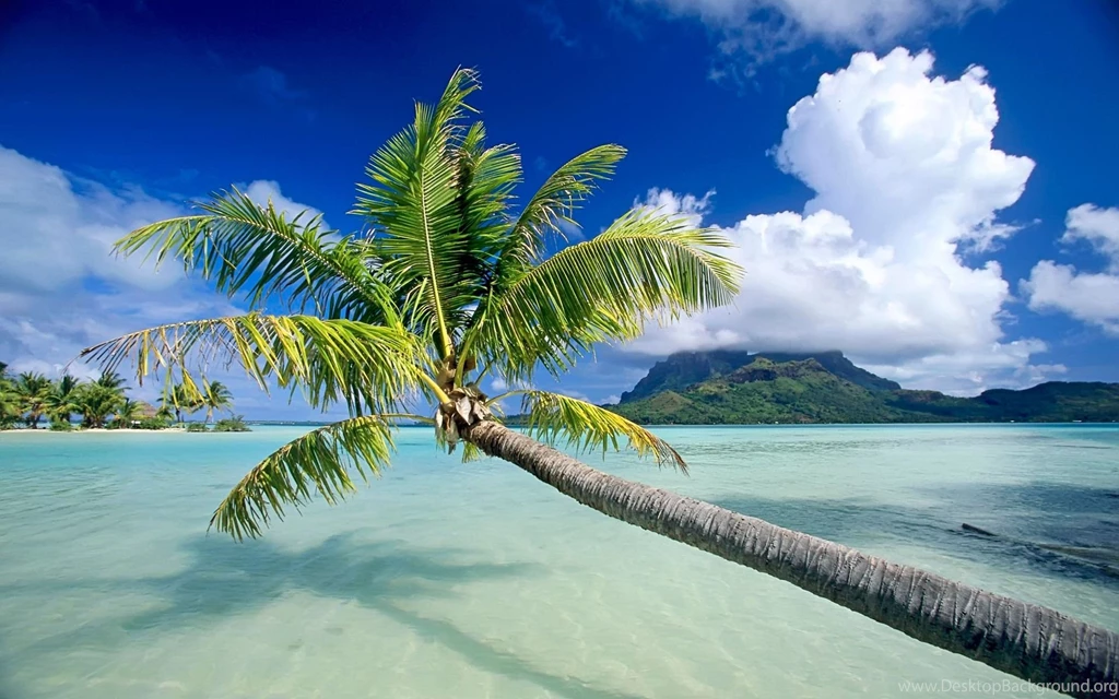 Beaches Backgrounds Wallpapers Cave