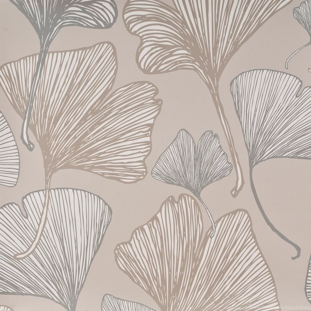 Ginkgo Natural Wallpapers Nicola Cerini