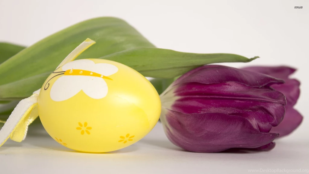 Easter Egg And Purple Tulip Wallpapers   Holiday Wallpapers