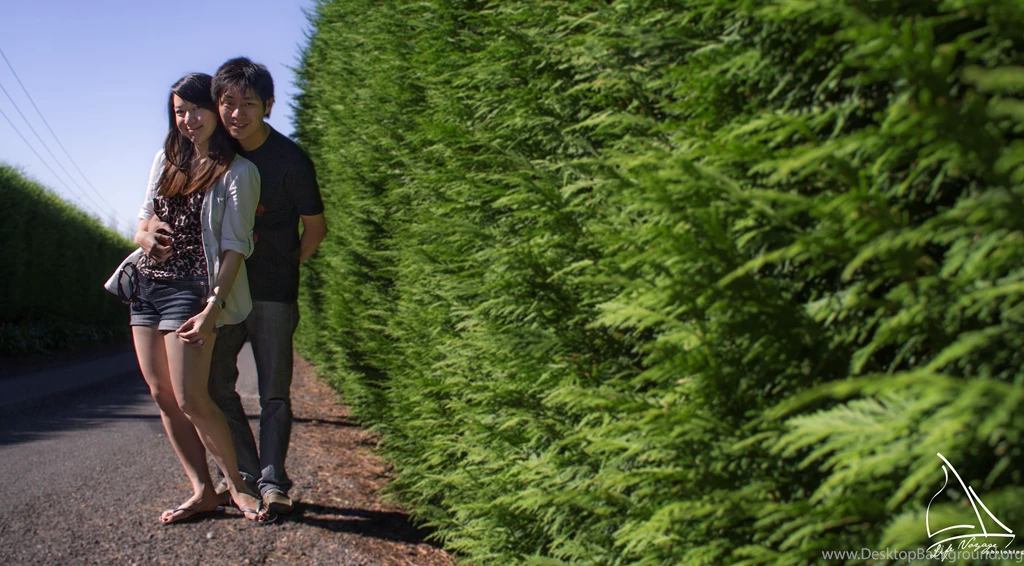 Us And Pine Tree Backgrounds – 02 Bowral – Life Voyage PhotoBlog