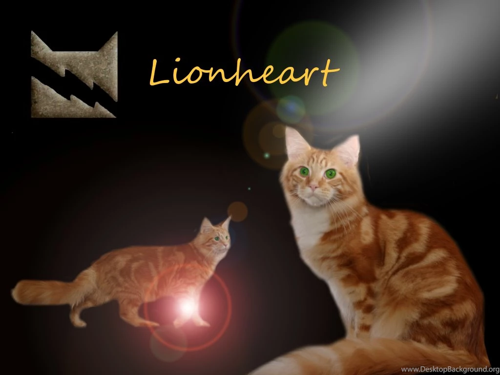 Warrior Cats Wallpapers By Silverhawl On DeviantArt