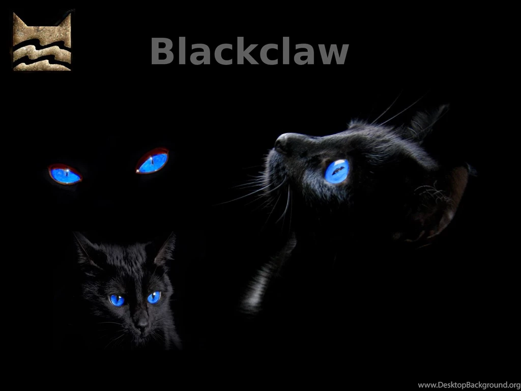 Warrior Cats Wallpapers By Silverhawl On DeviantArt