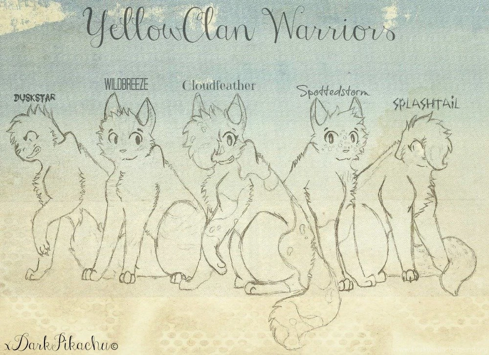 Warrior Cat Clans   Bing Images