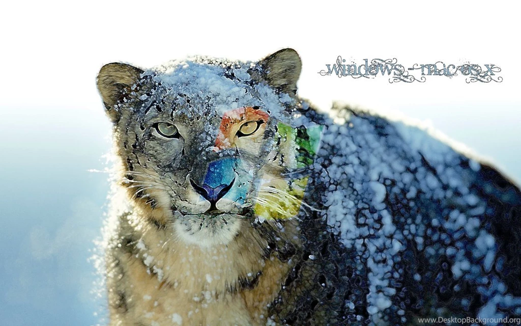 Justpict.com Mac Snow Leopard Wallpapers Hd