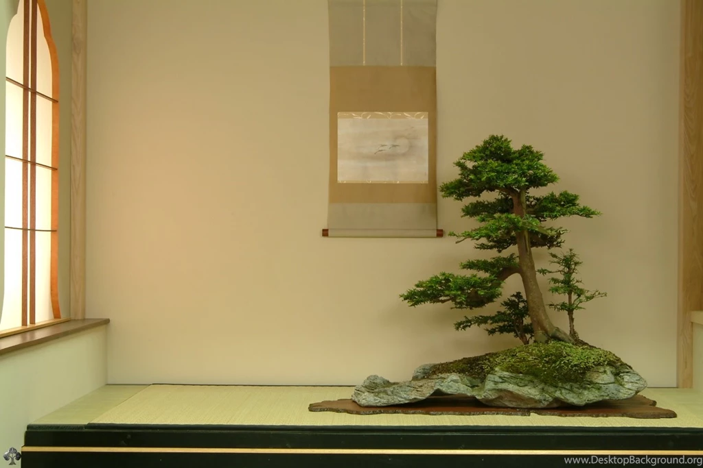 Download Our Bonsai Wallpapers   Bonsai Empire