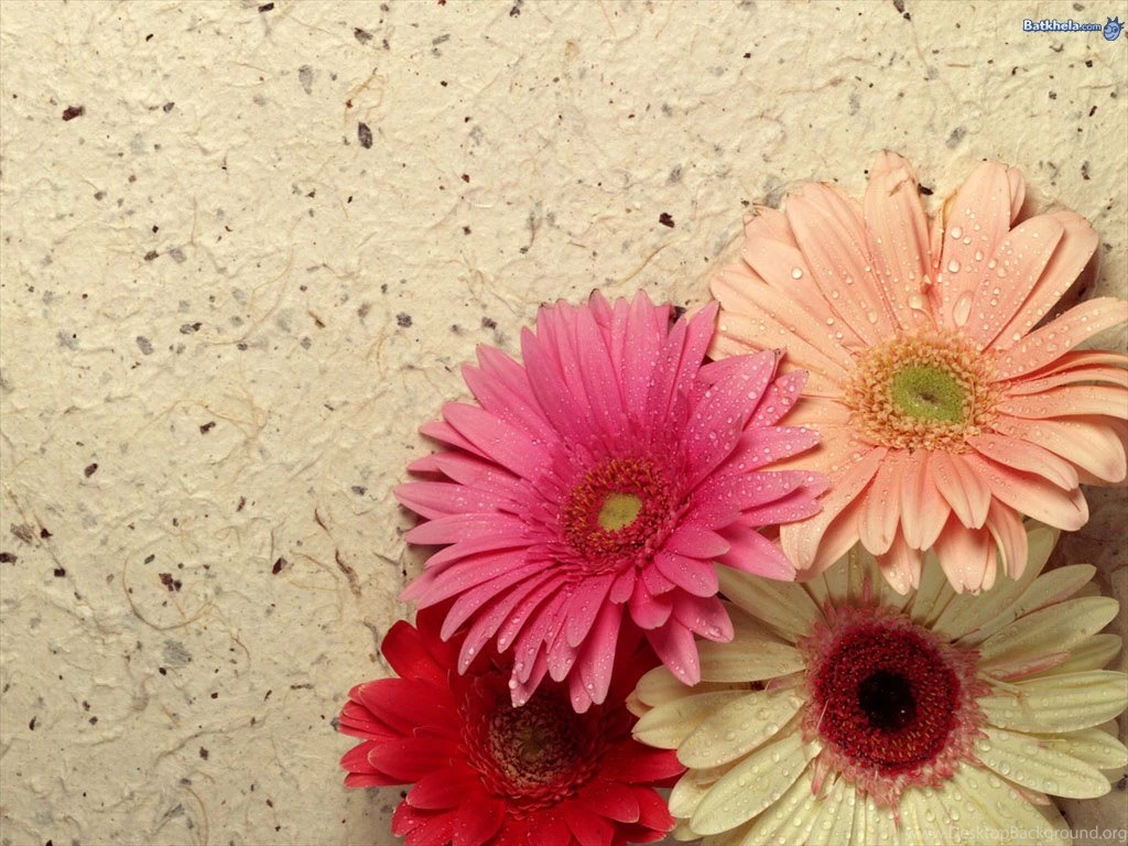 Pretty Backgrounds
