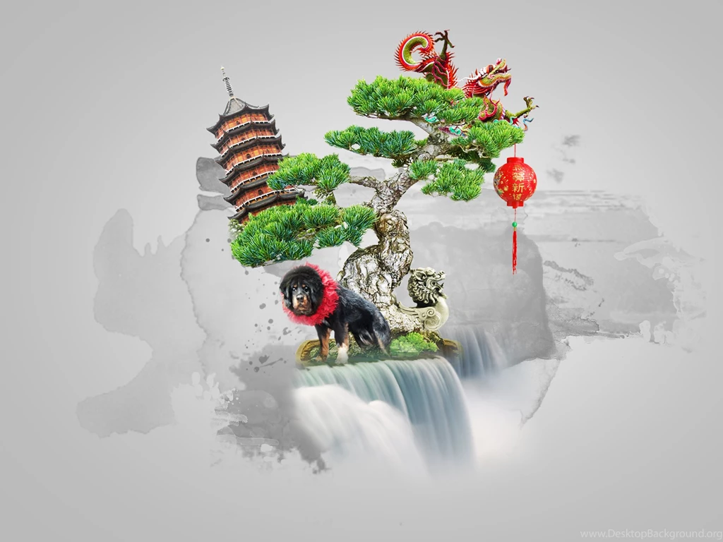 Bonsai Wallpapers