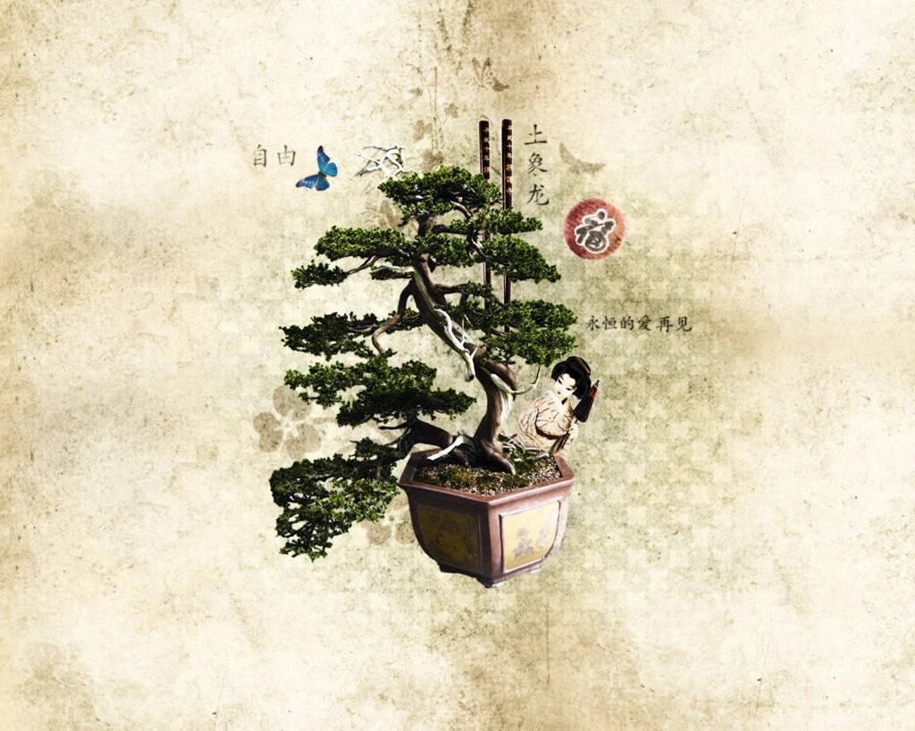 Bonsai Wallpapers HotFreeWallpaper.com