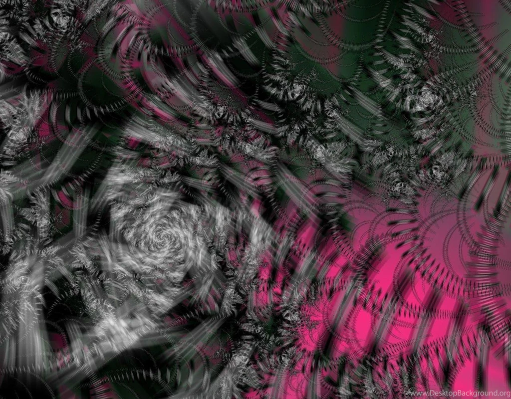 Pink And Black Zebra Wallpapers HD Wallpapers Pretty Desktop Background