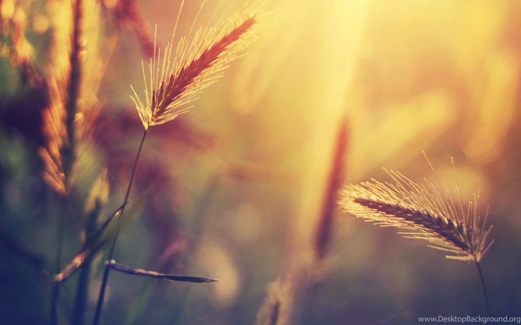 HD Wallpapers Source   Page 314 Of 489   100% Quality HD Desktop ...