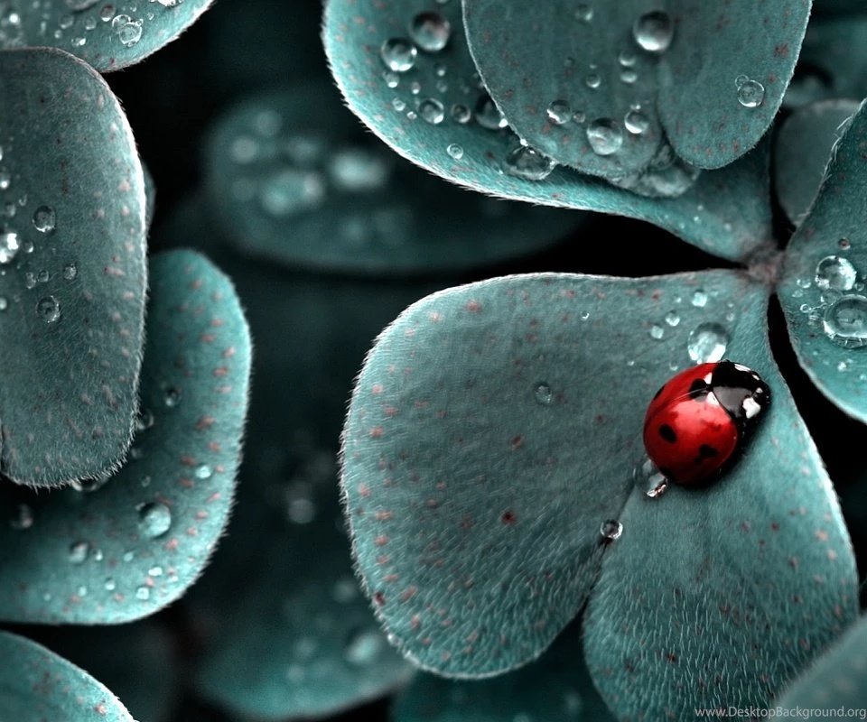 Best Rated Wallpapers All Wallpapers New