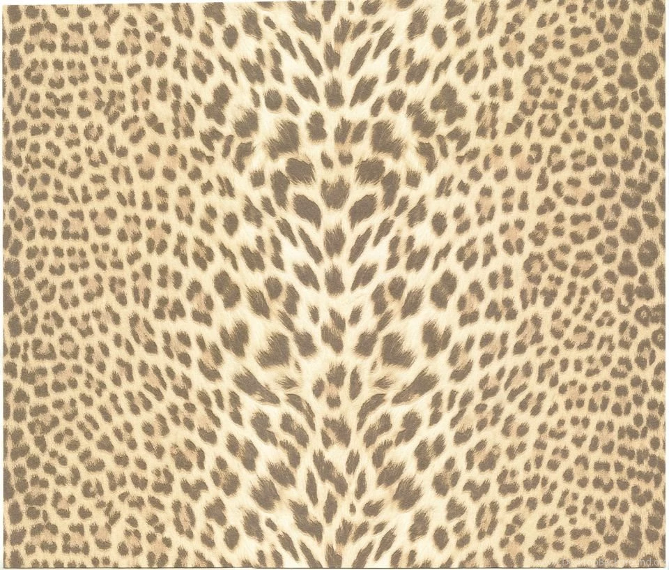 Roberto Cavalli Wallpapers Pantera SeriesFurniture From Italy