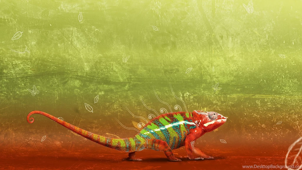 Gecko Wallpapers 35108