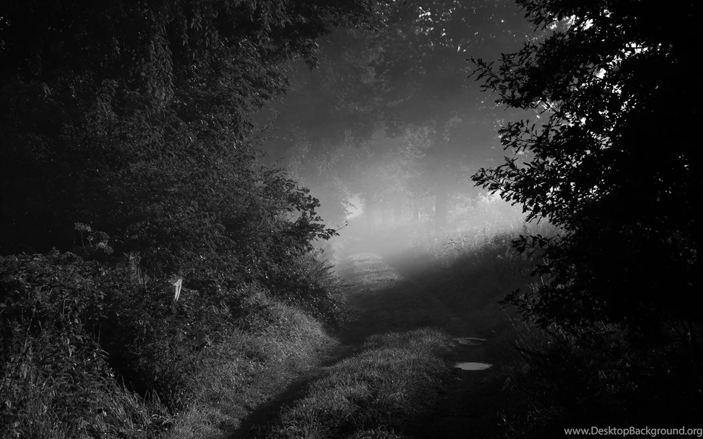 Black & White Computer Wallpapers, Desktop Backgrounds