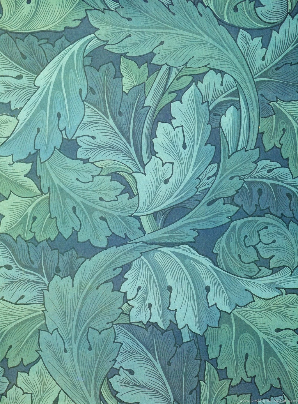 Acanthus Wallpapers