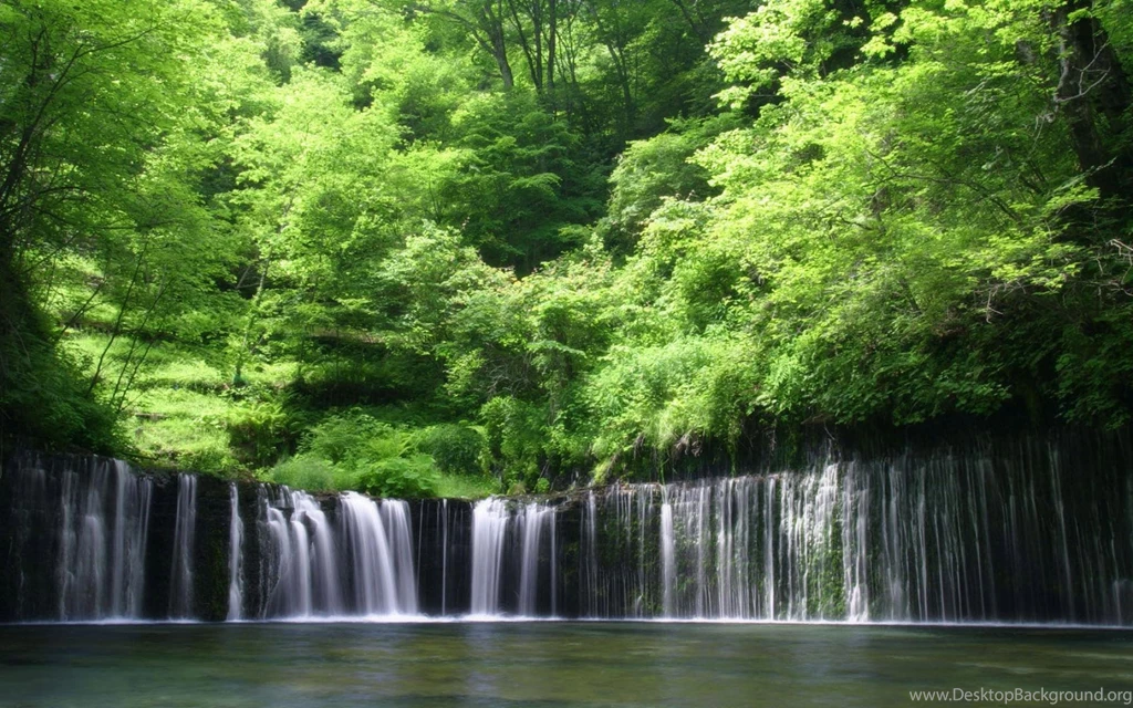 The Waterfall Flowing Desktop Wallpapers Image 1920x1200 Windows Hd ...