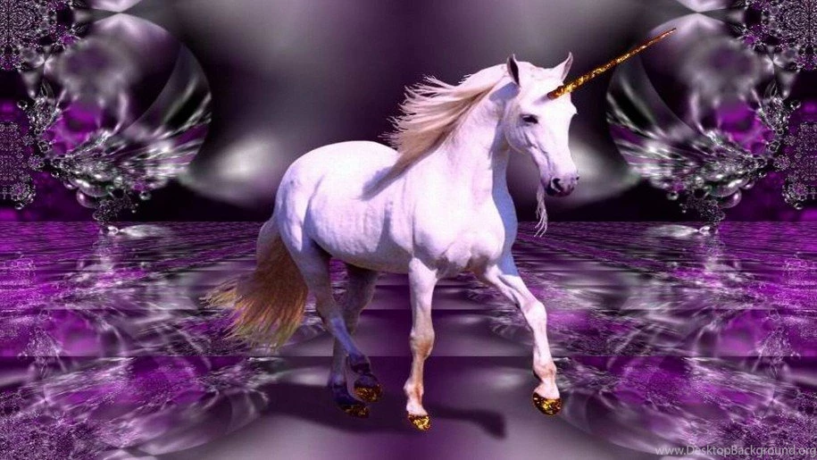 Wonderful Unicorn White Horse Fantasy Hd Wallpapers : Wallpapers13.com