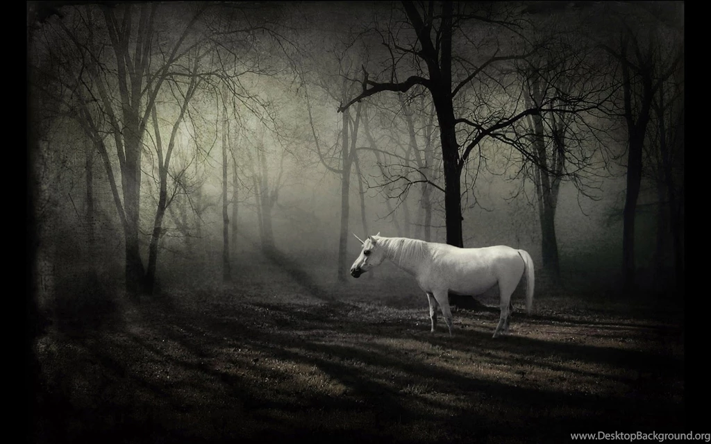 Unicorn Computer Wallpapers, Desktop Backgrounds
