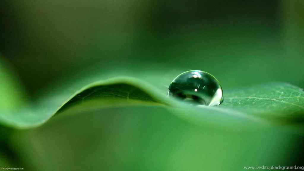 1366x768 Water Droplet Desktop PC And Mac Wallpapers
