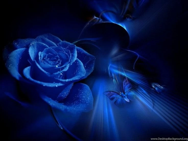 Favorite Color Blue Stuff On Pinterest