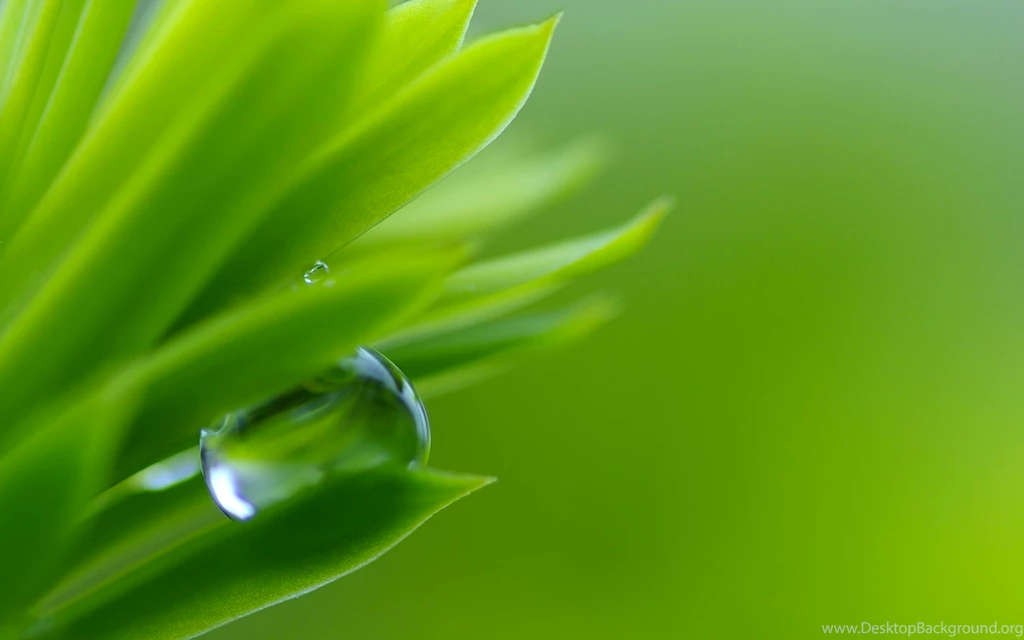 Water Drop Computer Wallpapers, Desktop Backgrounds