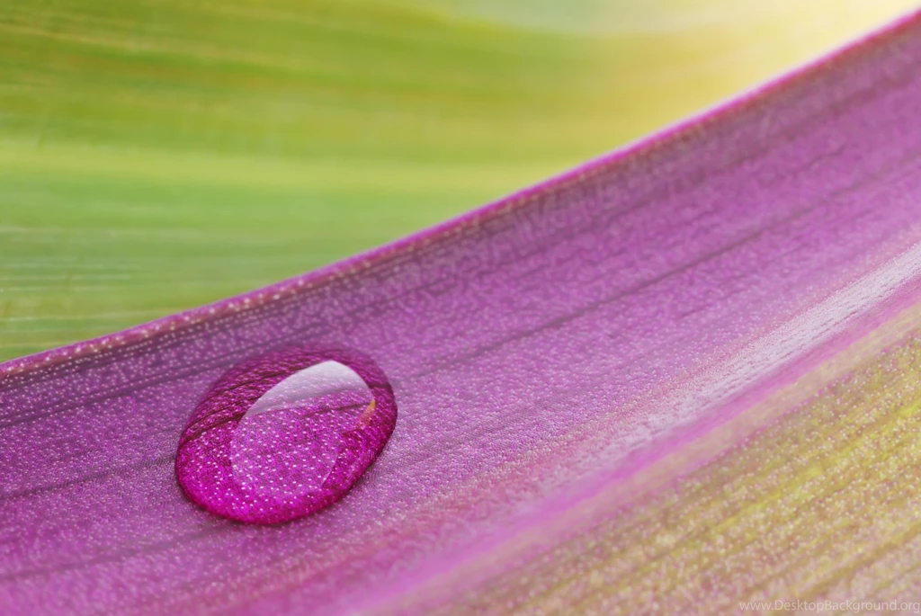 Photography Wallpapers Archives   UltraHdWall.Com