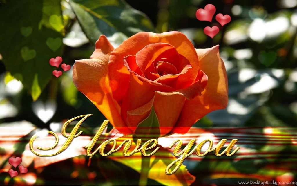 New Latest I Love You Wallpapers On This Valentines Day 2014 ...