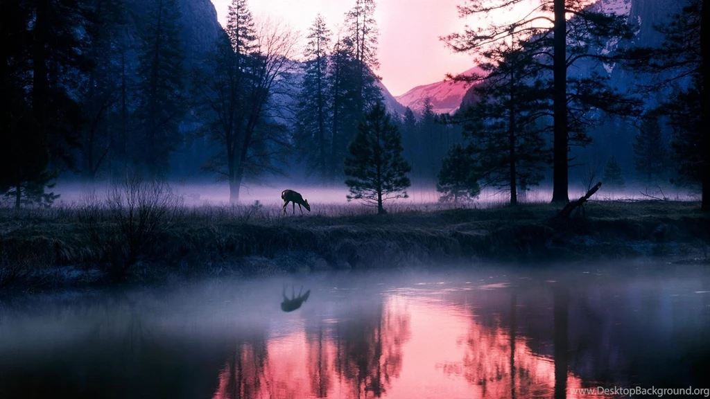 Yosemite National Park, Earth, Scenic, 1920x1080 HD Wallpapers And ...