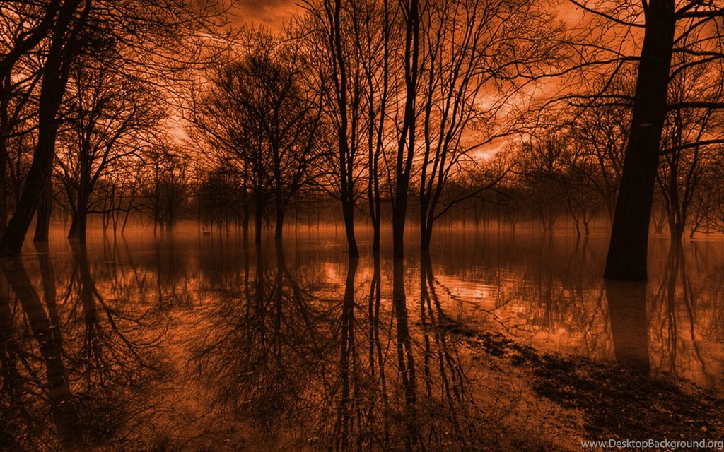 484 Scenic HD Wallpapers