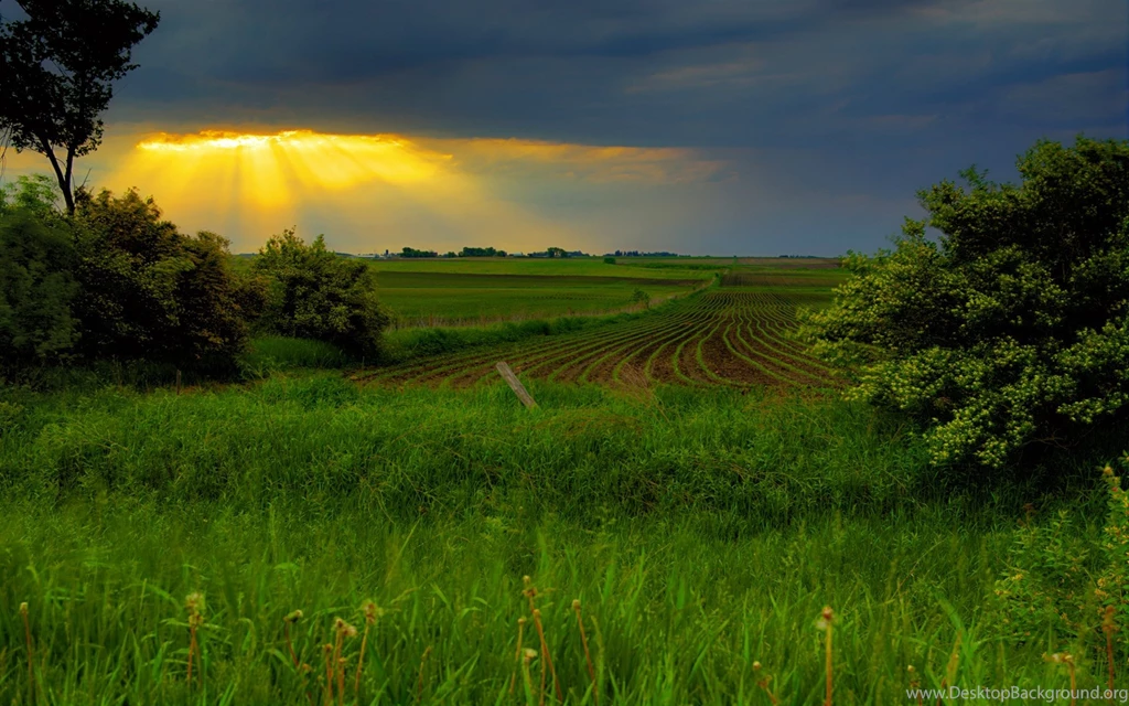 Scenic 1750252