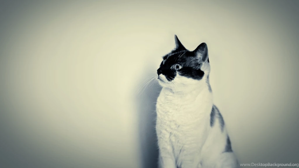 Hipster Wallpapers