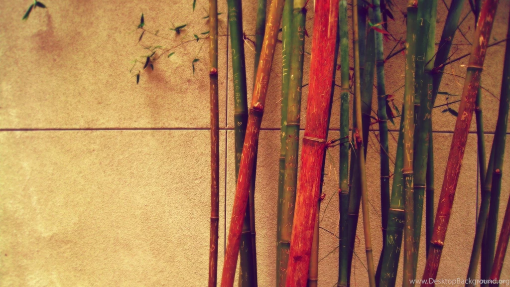 Hipster Photography Wallpaper Images