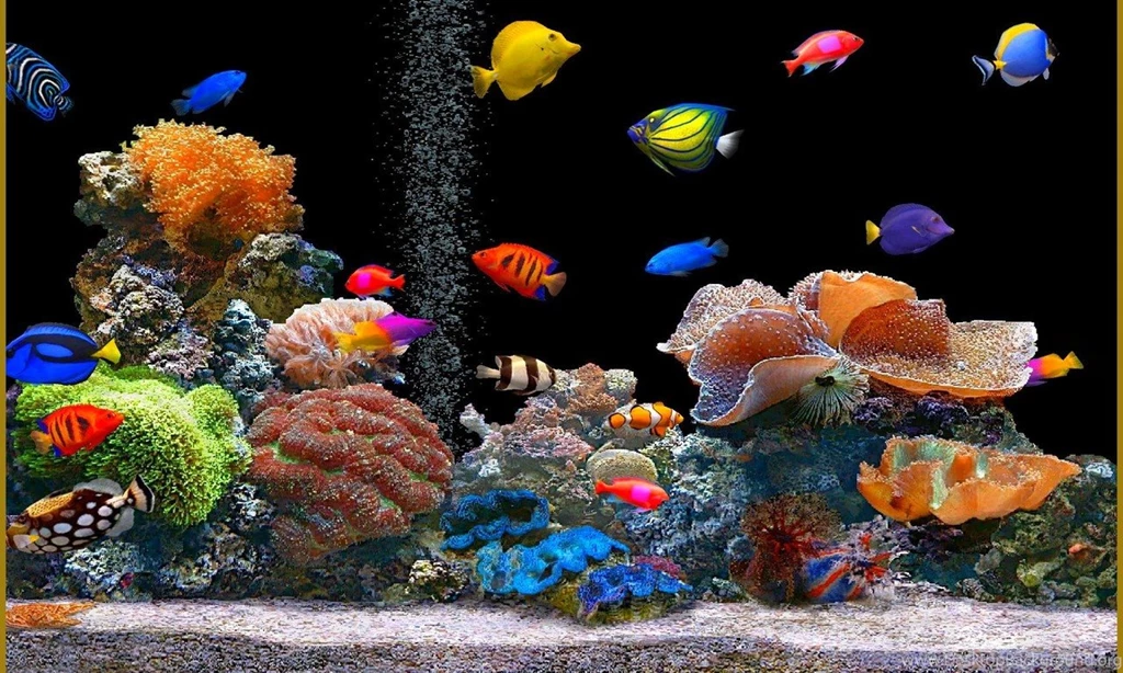 Aquarium Wallpapers