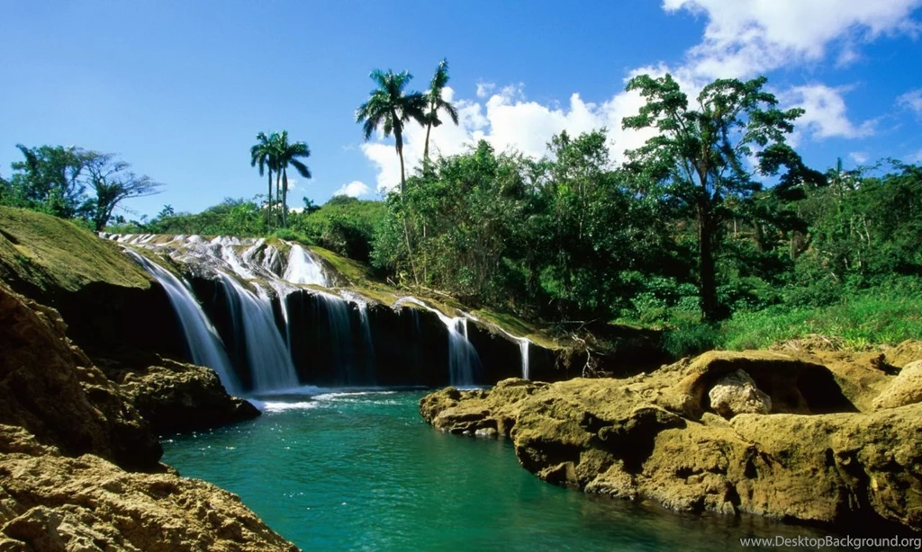 Nature Wallpapers Lumia 920 (1280x768)