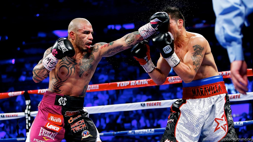 Miguel Cotto Greatest Hits