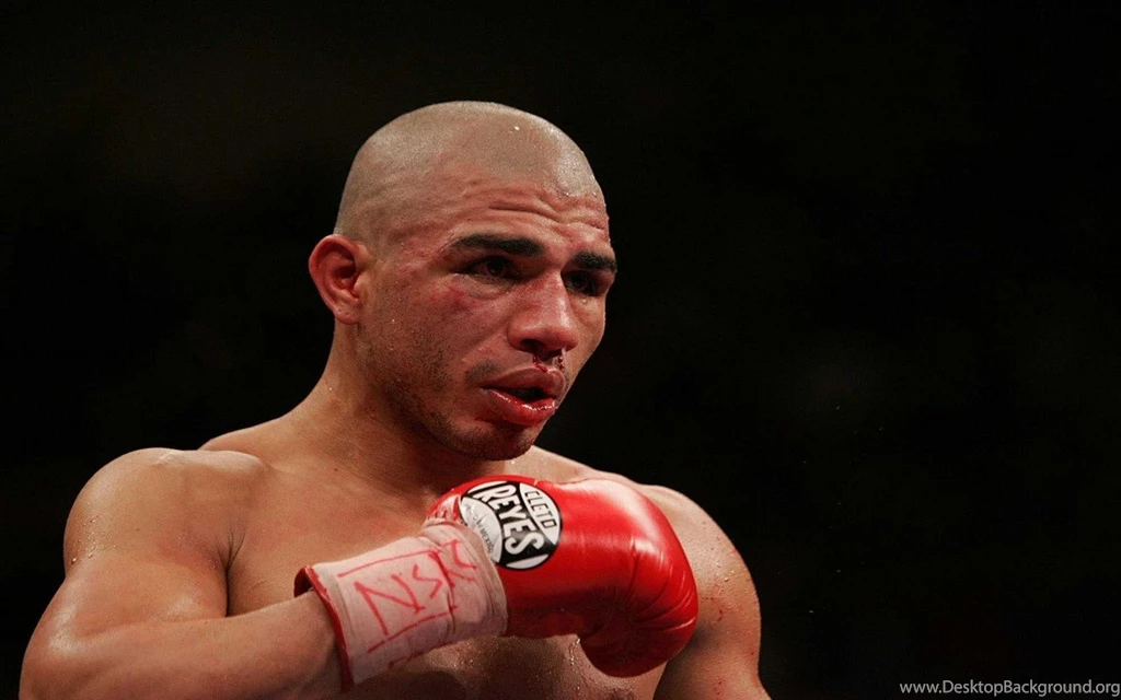 Miguel Cotto Boxing Record
