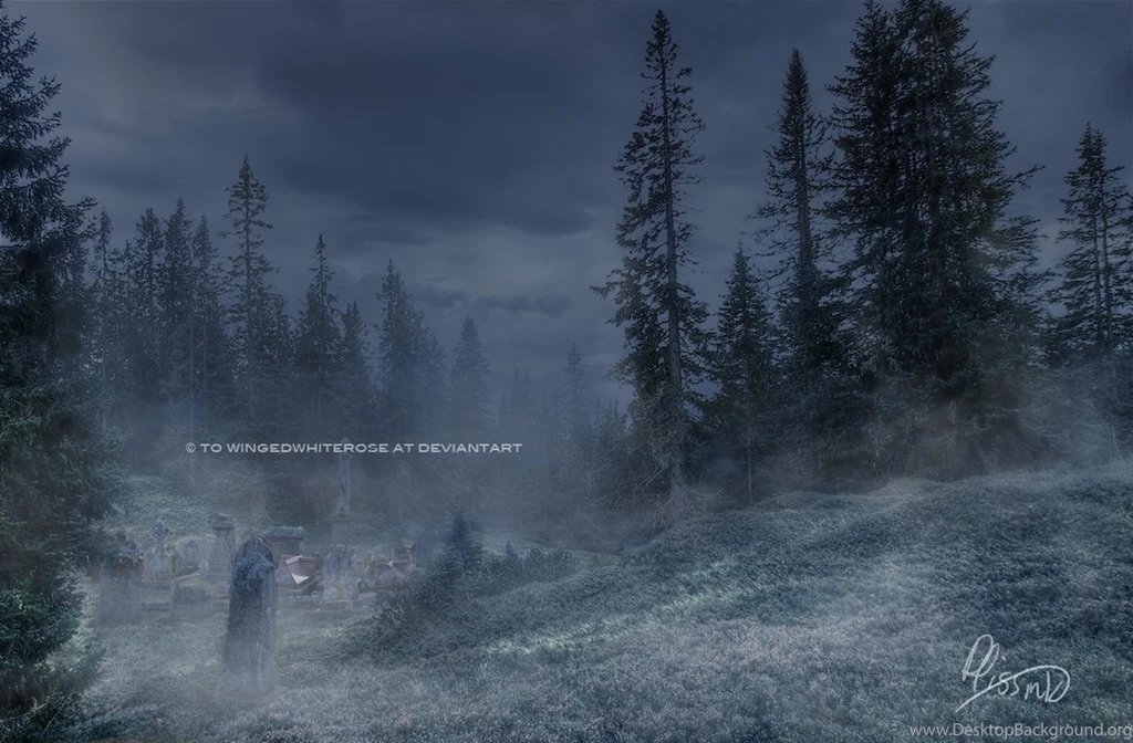 Premade Backgrounds Foggy Forest + Graveyard C By Wingedwhiterose ...