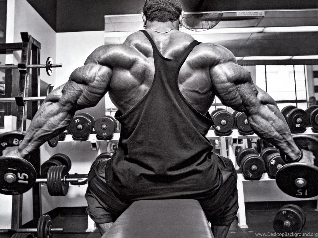 Body Building HD Wallpapers