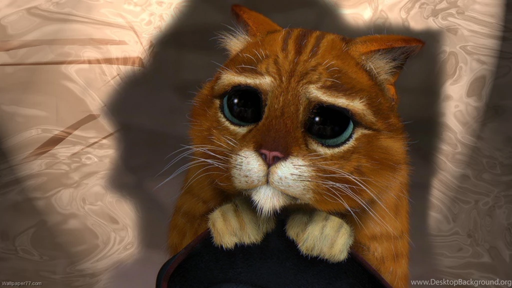 Shrek 2 Cat Funny Pictures – BUZZERG